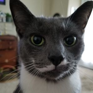 Meet your Posher, Maureen